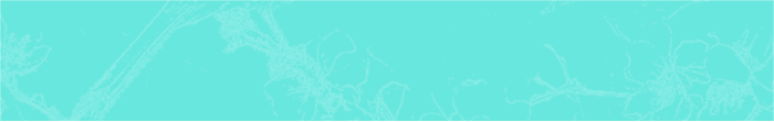 Lazy loaded image